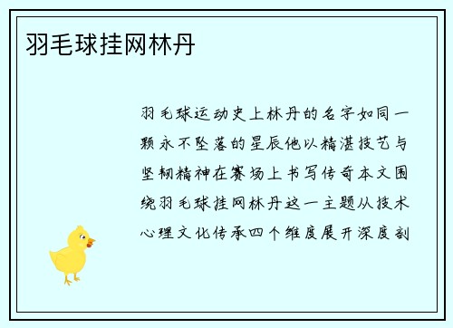 羽毛球挂网林丹
