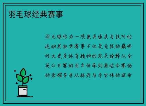 羽毛球经典赛事