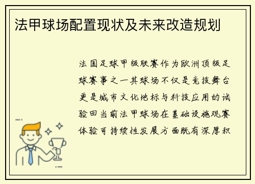 法甲球场配置现状及未来改造规划